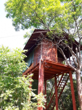 Dambulla Tree House